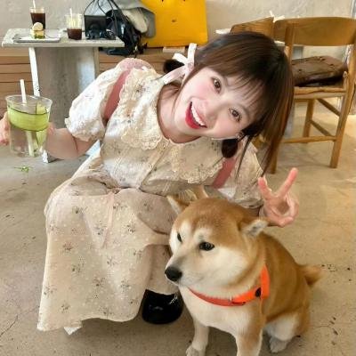 梦醒美国